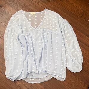Entro Light Blue Sheer Blouse